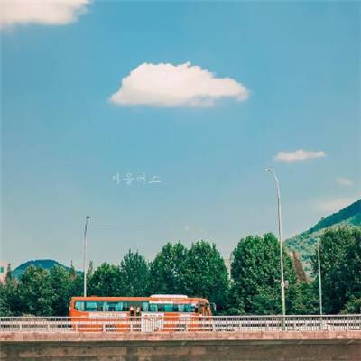 迷你卡车赛车手